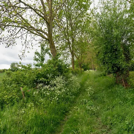 In Ubachsberg Near Trails * Voerendaal