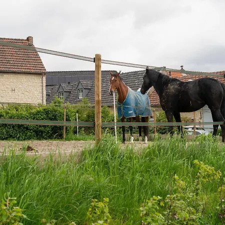 Casa de Férias In Ubachsberg Near Trails *